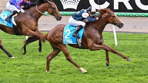railway stakes odds|Railway Stakes 2024 Betting Guide .